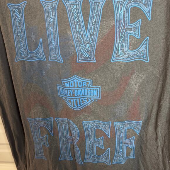 Harley-Davidson Gray Graphic Tee Relaxed Fit - Picture 4 of 5